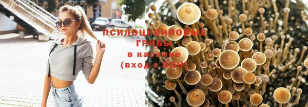 мяу мяу мука Алзамай
